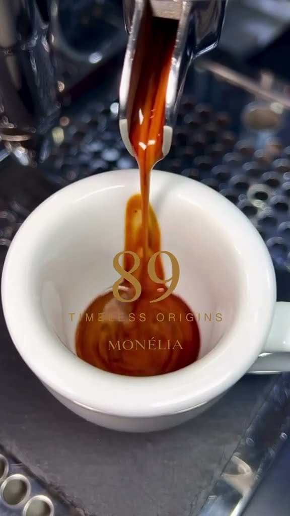 Welcome to MONÉLIA